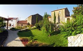 Quinta de São João